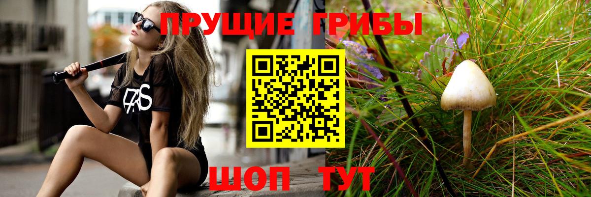 Галлюциногенные грибы прущие грибы  Псилоцибиновые грибы мицелий  Великий Устюг  Вход с VPN 